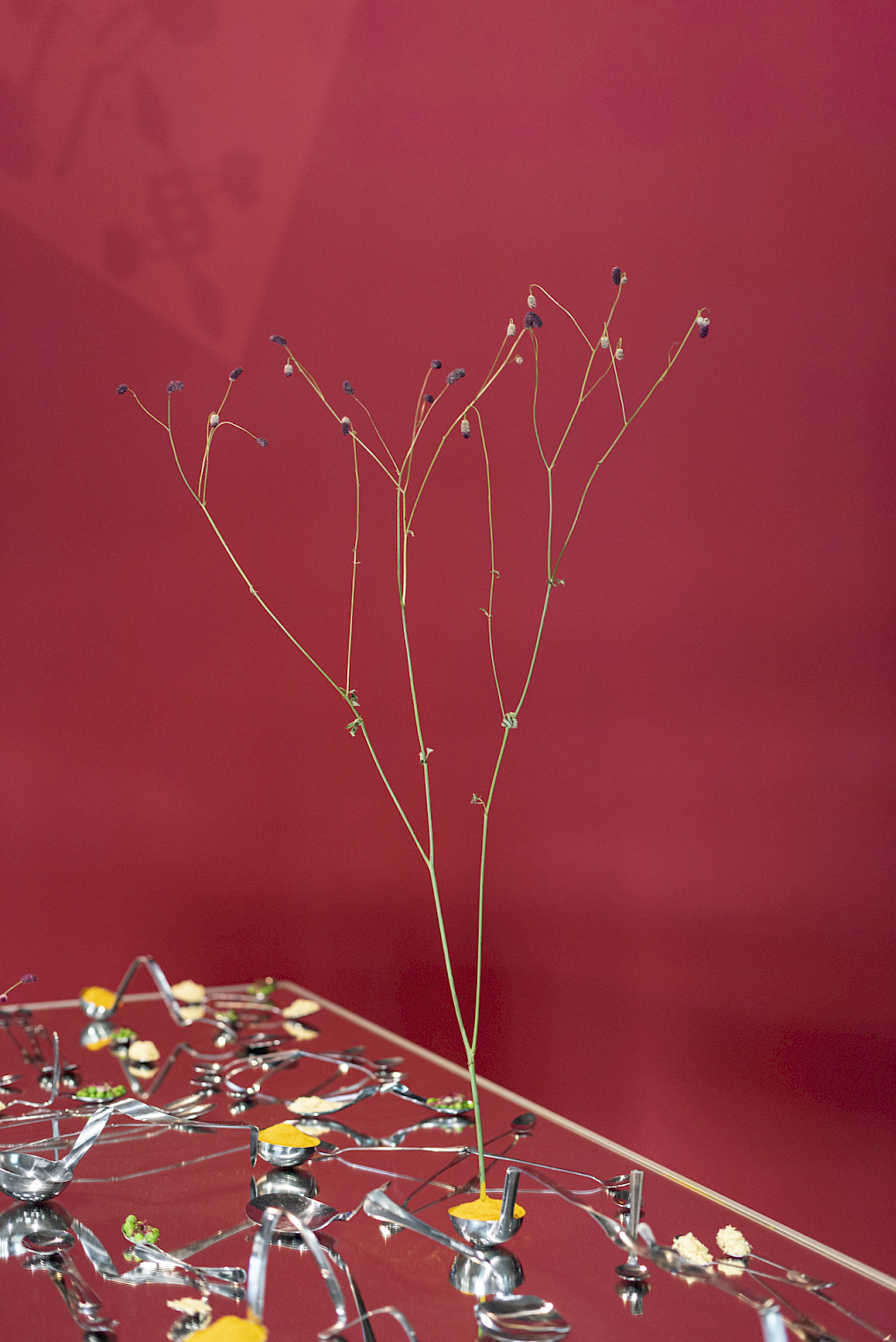 AKSHITA GARUD Cross My Palm With Silver | Photo: Marvin Systermans