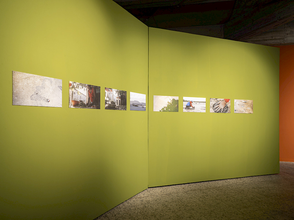 Prints by Aline Baiana | Photo: Marvin Systermans