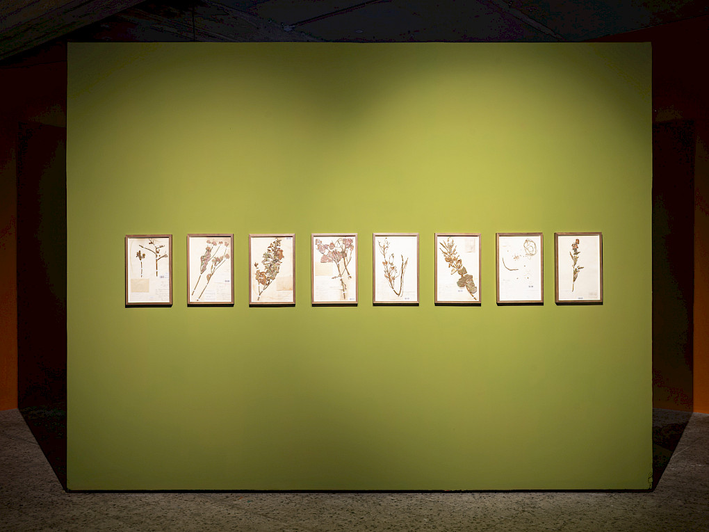 Kupferskulpturen von Sammy Baloji | Foto: Marvin Systermans